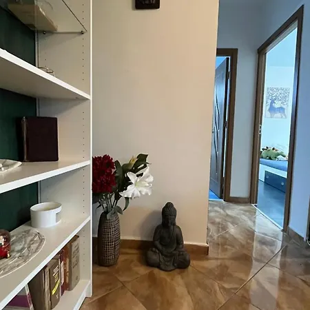 Casa Cartilor - House Of Book's