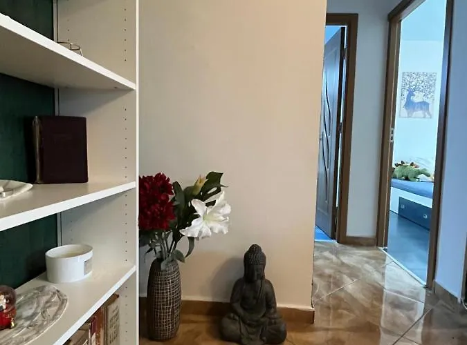 Casa Cartilor - House Of Book's